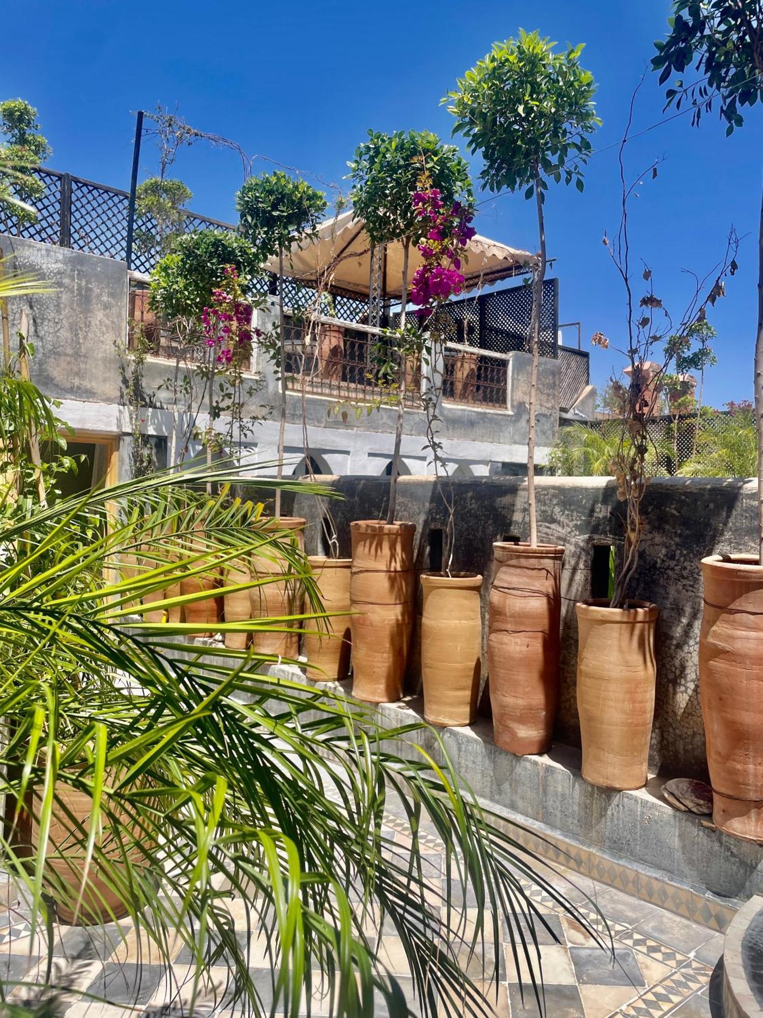 Riad Green Palm Marrakesz Zewnętrze zdjęcie